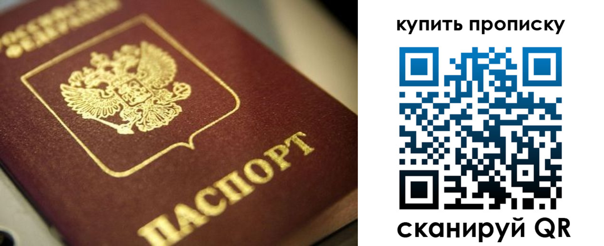 прописка поиск в Покрове